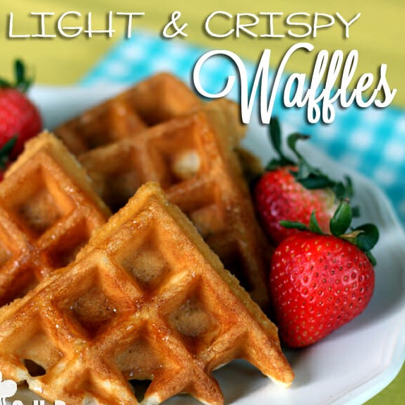 Mild & Crispy Waffles – Our Finest Bites