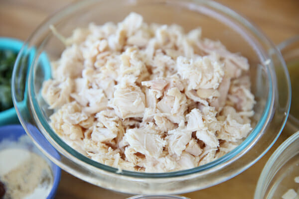 our best bites shredded chicken