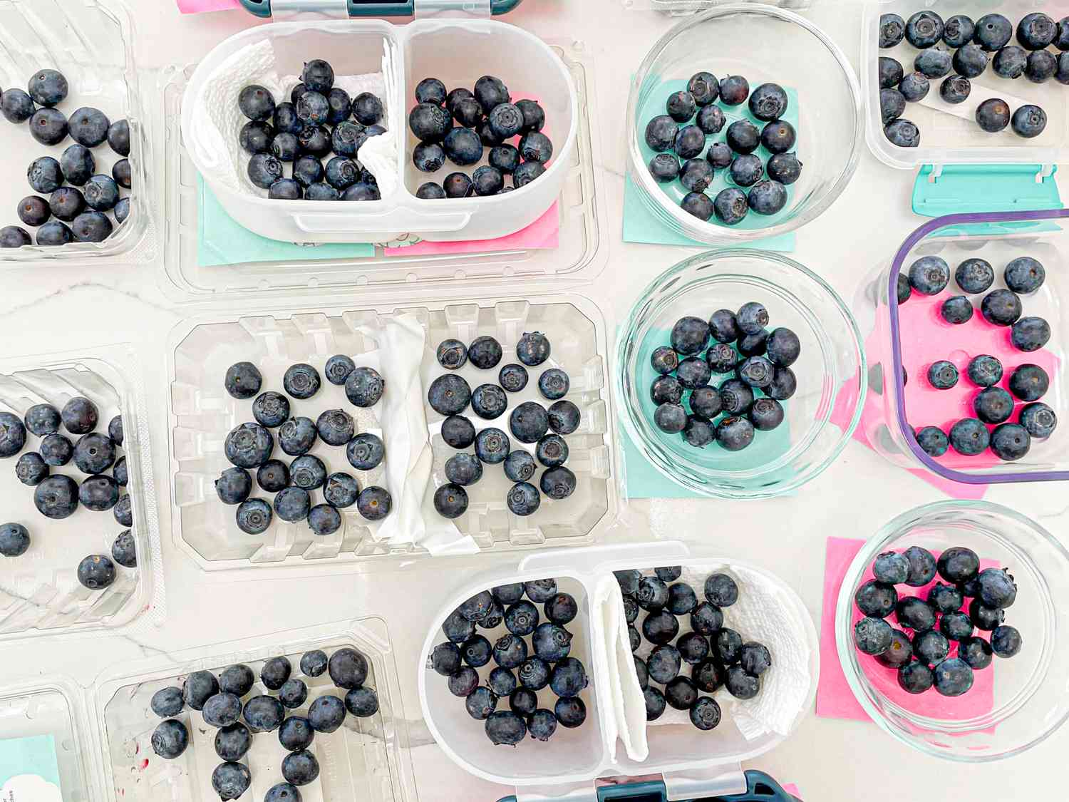 Find out how to Retailer Blueberries So They Final Longer