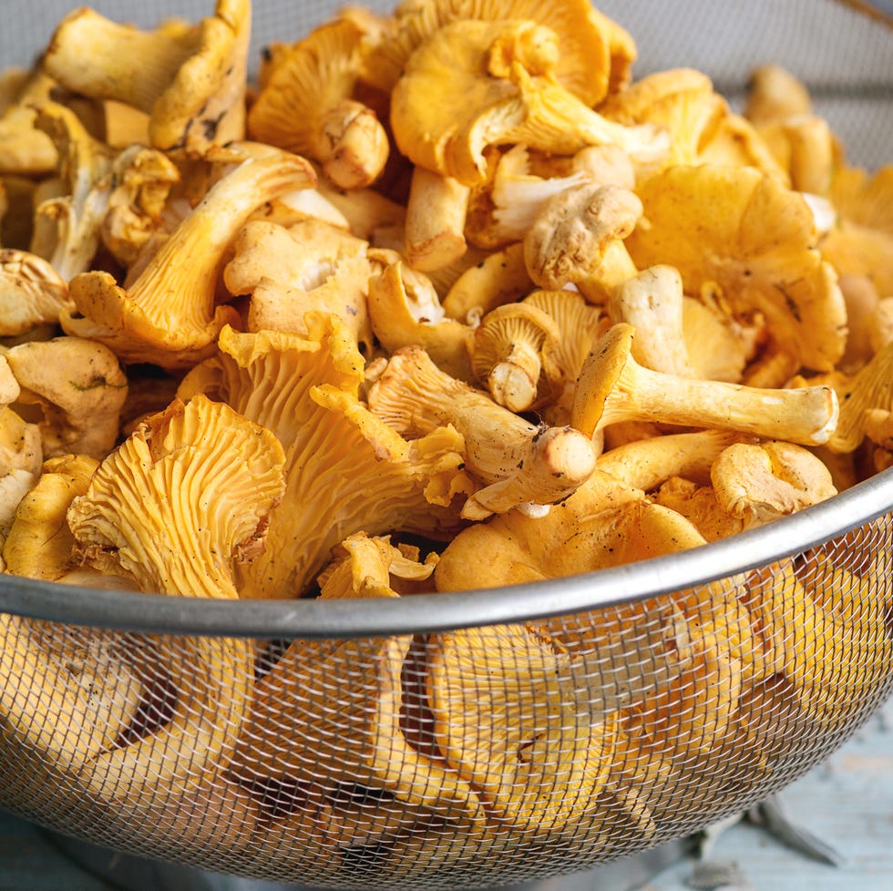 raw uncooked chanterelles mushrooms