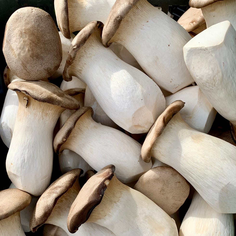 oyster mushrooms